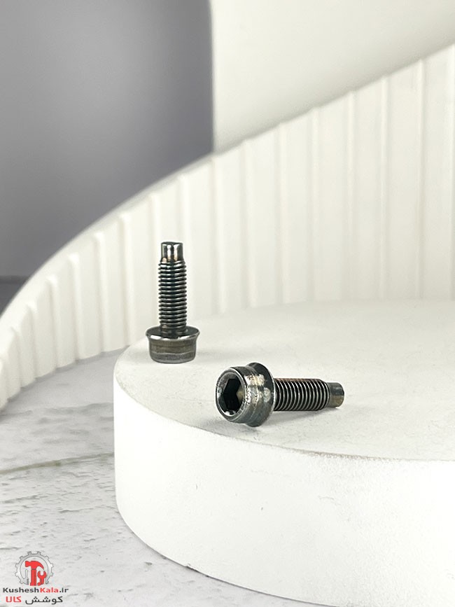 پیچ دور کارتل پژو 405 کوتاه آلنی بسته 50عددی