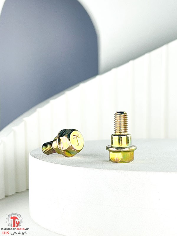 پیچ درب سوپاپ پیکان بسته 30عددی