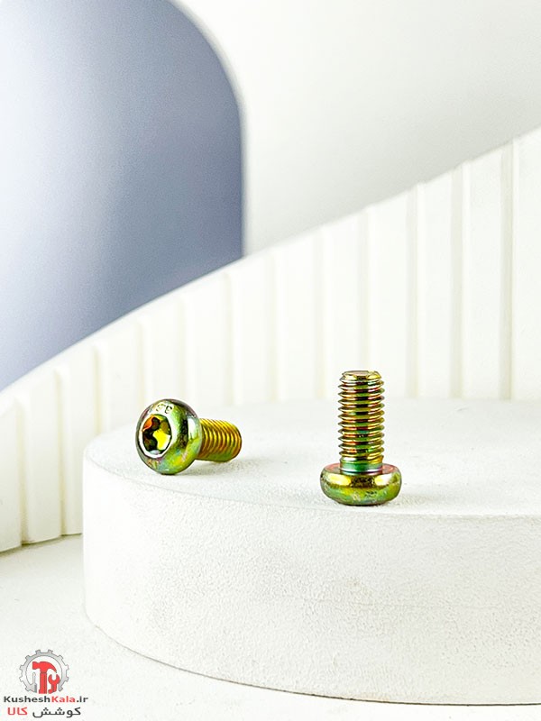 پیچ دیسک و صفحه پژو 206 بسته 50 عددی