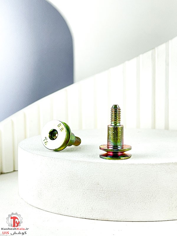 پیچ قرقره ای قاب تسمه تایم پژو405 بسته 40عددی