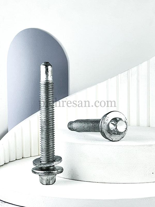 پیچ رام اکسل پژو 206 بلند بسته 10عددی