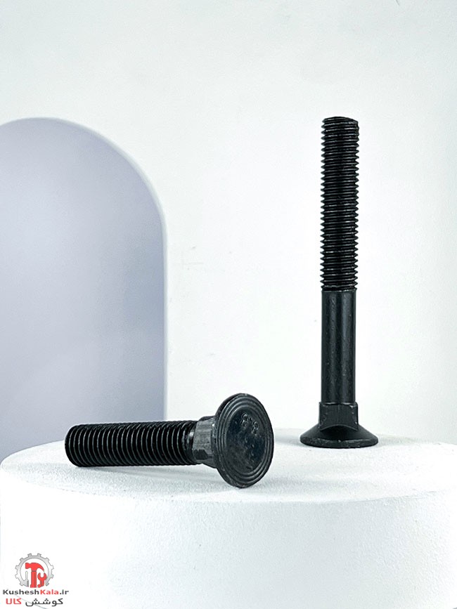 پیچ سوکی خشکه 100*12 بسته 25عددی