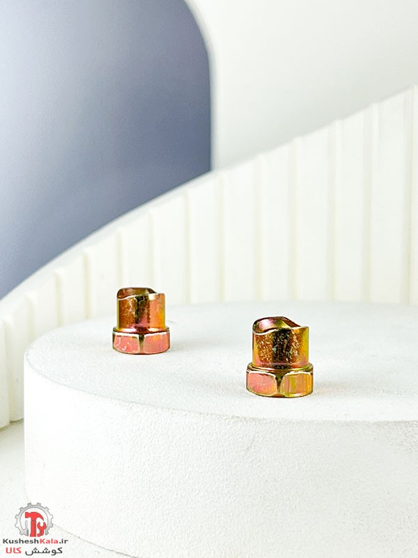 مهره سیم کلاچ پراید بسته 100 عددی